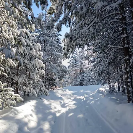 Appartement Zlatiborski Biser *