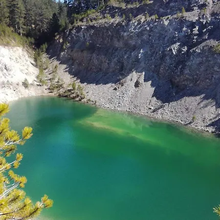 Zlatiborski Biser Suljagici