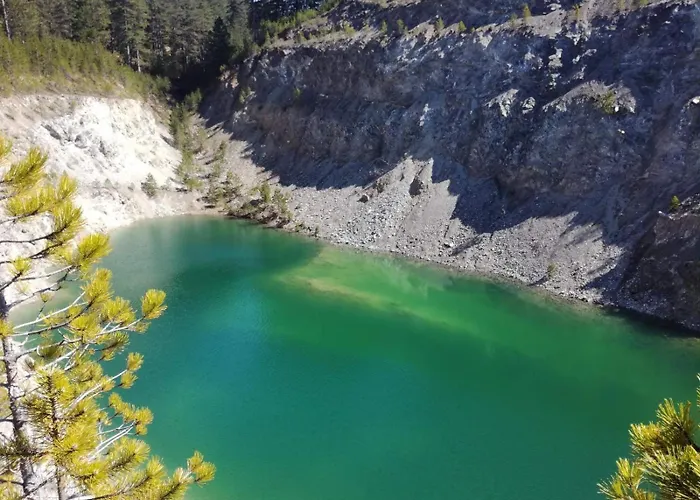 Zlatiborski Biser Suljagici