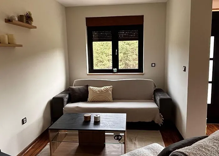 Апартаменты Zlatiborski Biser